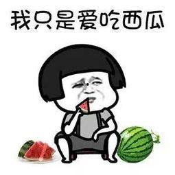 带你吃瓜的娱乐设施,揭秘新型娱乐设施的魅力所在